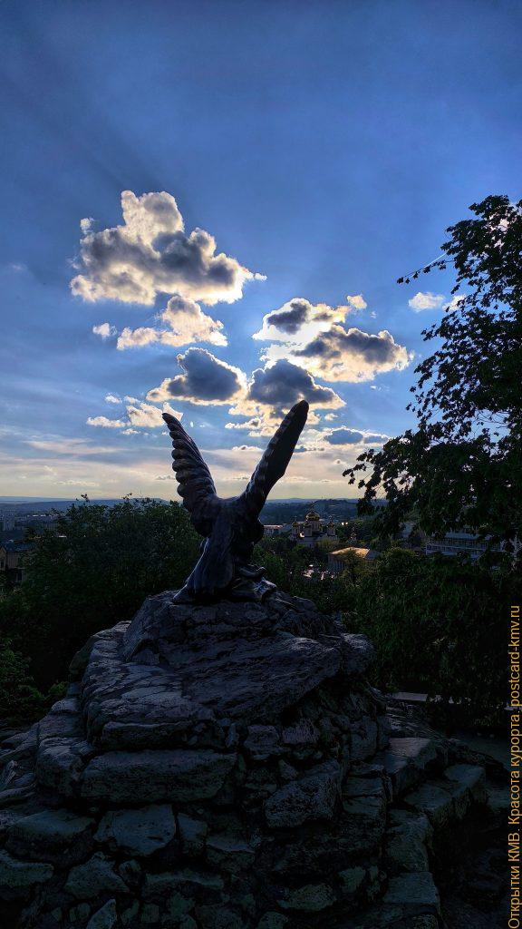 Фото Орла в Пятигорске